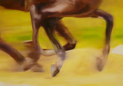 Horse Race 5